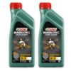 CASTROL 2x 1 L Magnatec Stop-Start 5W-30 S1 15C2BA -Autoteile Geschäft 2457777